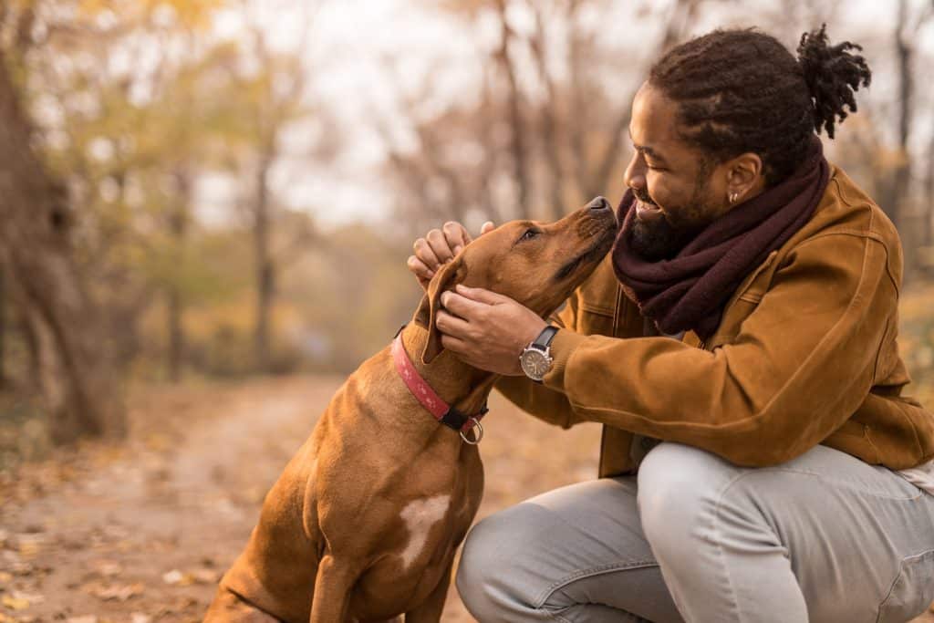 How to bond with your pet